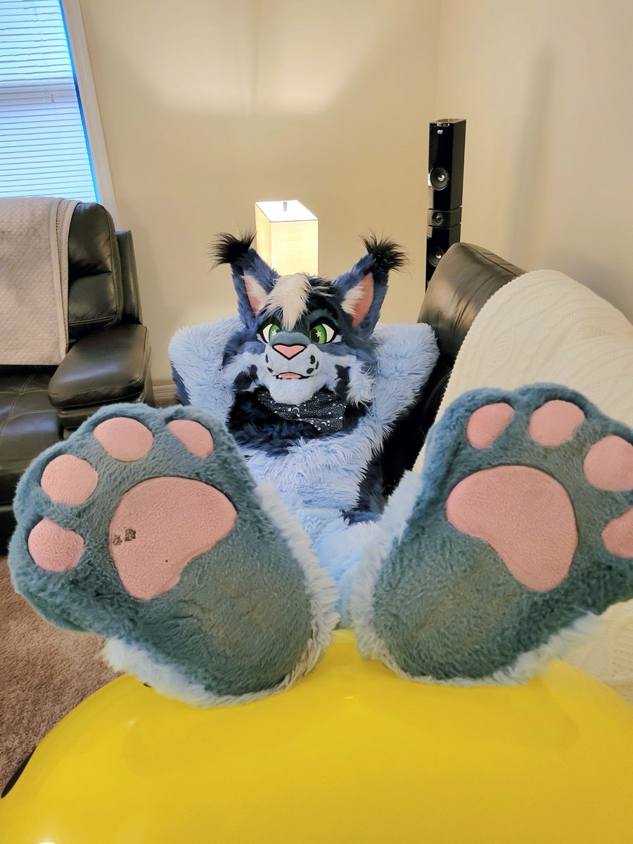 Wut?  Did I make ya PAWS fur a second??  ^_^

📸  Voyen