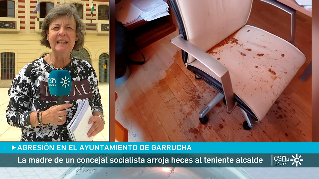 Denunciada la madre de un edil de Garrucha por esparcir heces en el despacho del teniente de alcalde  

🌐 csur.red/LAzz50RxhkW