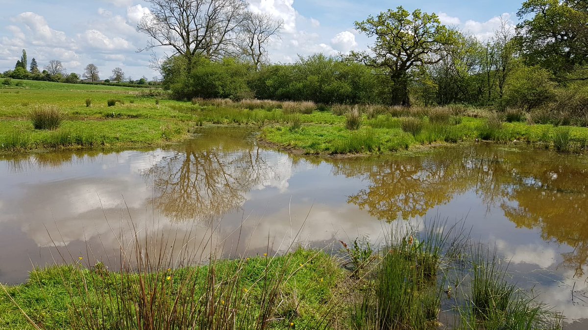 We're pleased to say we've been offered further funding from CS Facilitation Fund for another 3 years. That means more projects to create high quality &amp; diverse habitats. Importantly, we can support farmers to access advice, secure funding &amp; bring people together to share ideas.