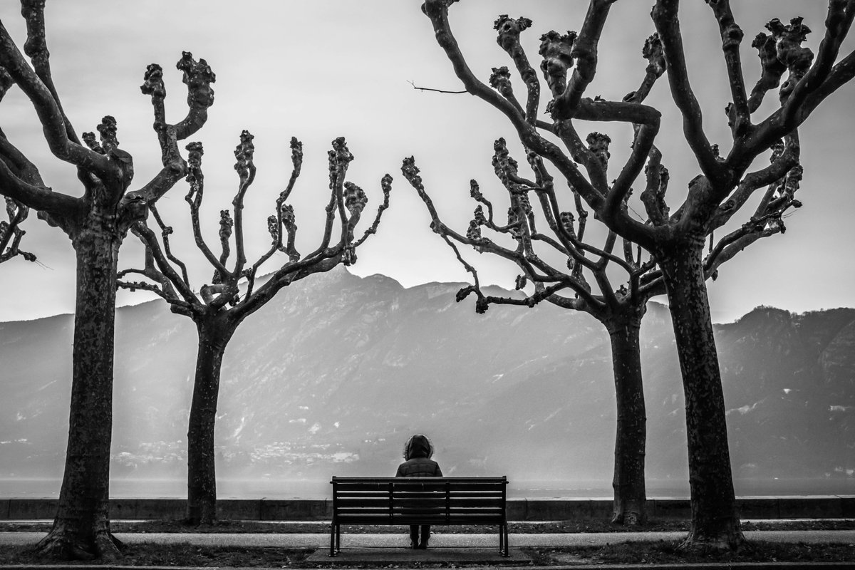 Soy hija de mí misma.
De mi sueño nací.
Mi sueño me sostiene.

'Muro de lamentaciones'. Fragmento. Rosario Castellanos.