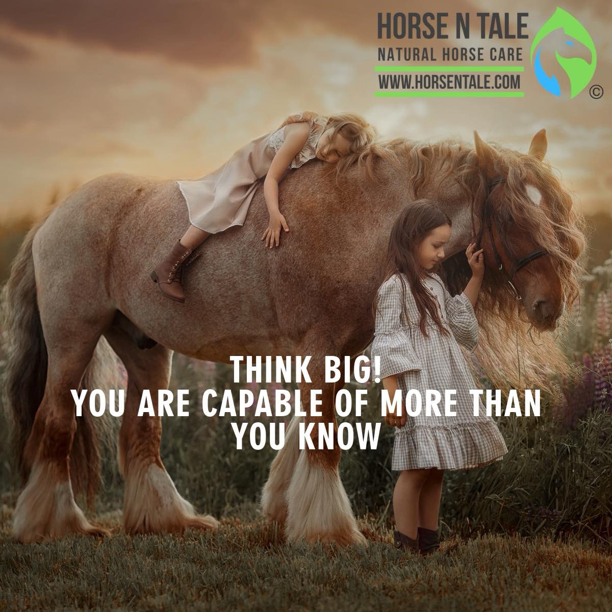 Monday Motivation.

THINK BIG!
YOU ARE CAPABLE OF MORE THAN YOU KNOW

#horsentale #topicalequineproducts #naturalhorsecare #equine #horse #naturalingredients 
#teamhnt #teamhorsentale 
#barrelracing 
#motivationmonday #MondayMotivation #MondayMotivation #Monday #Mondaymindset