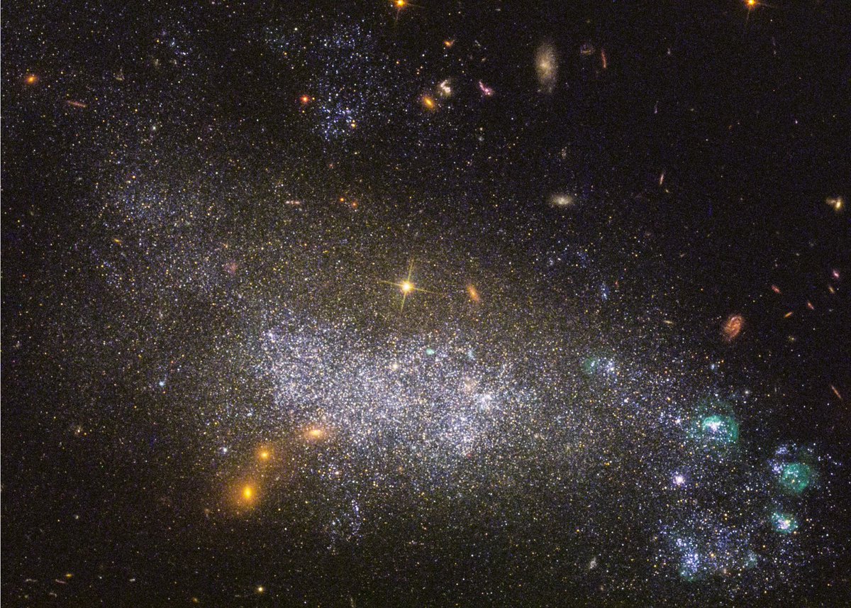 Dwarf galaxy UGC 5340 shines with thousands of ultraviolet-bright stars (colored blue), making it a perfect target for a Hubble survey of 50 nearby, star-forming galaxies. A particularly active pocket of rapid star birth appears in the lower right corner: bit.ly/4aq6HU2