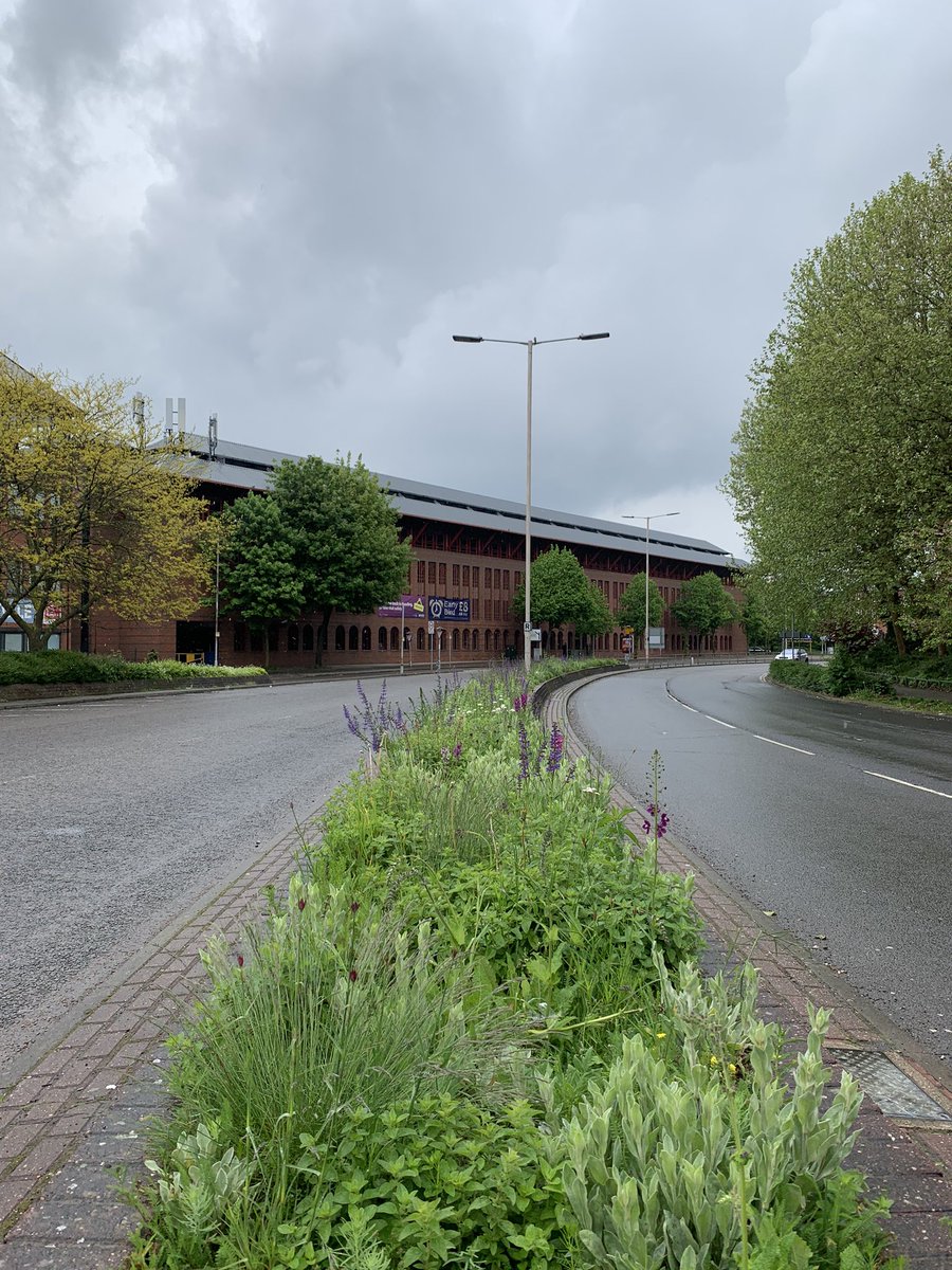 We have wild flowers blooming on the central reservation of the IDR. #rdguk