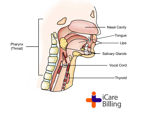 Nasal and sinus cancer is a disease in which malignant  cells form in the tissues of the paranasal sinuses and nasal cavity. 'Paranasal' means near nose. The para sinuses are hollow, air-filled spaces in the bones around the nose. 
#icarebilling, an American #HealthcareIT company