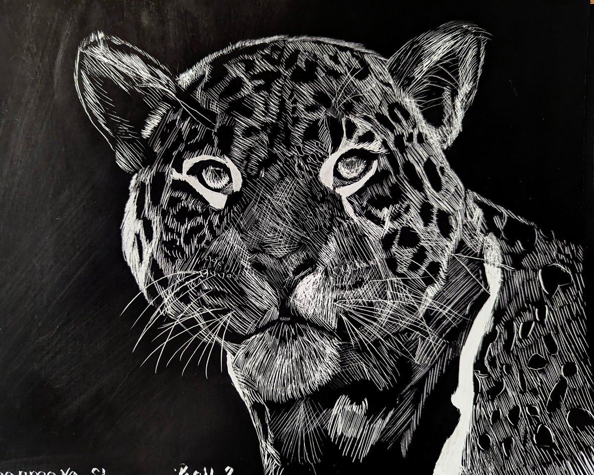 Amy Panfalone tweet media