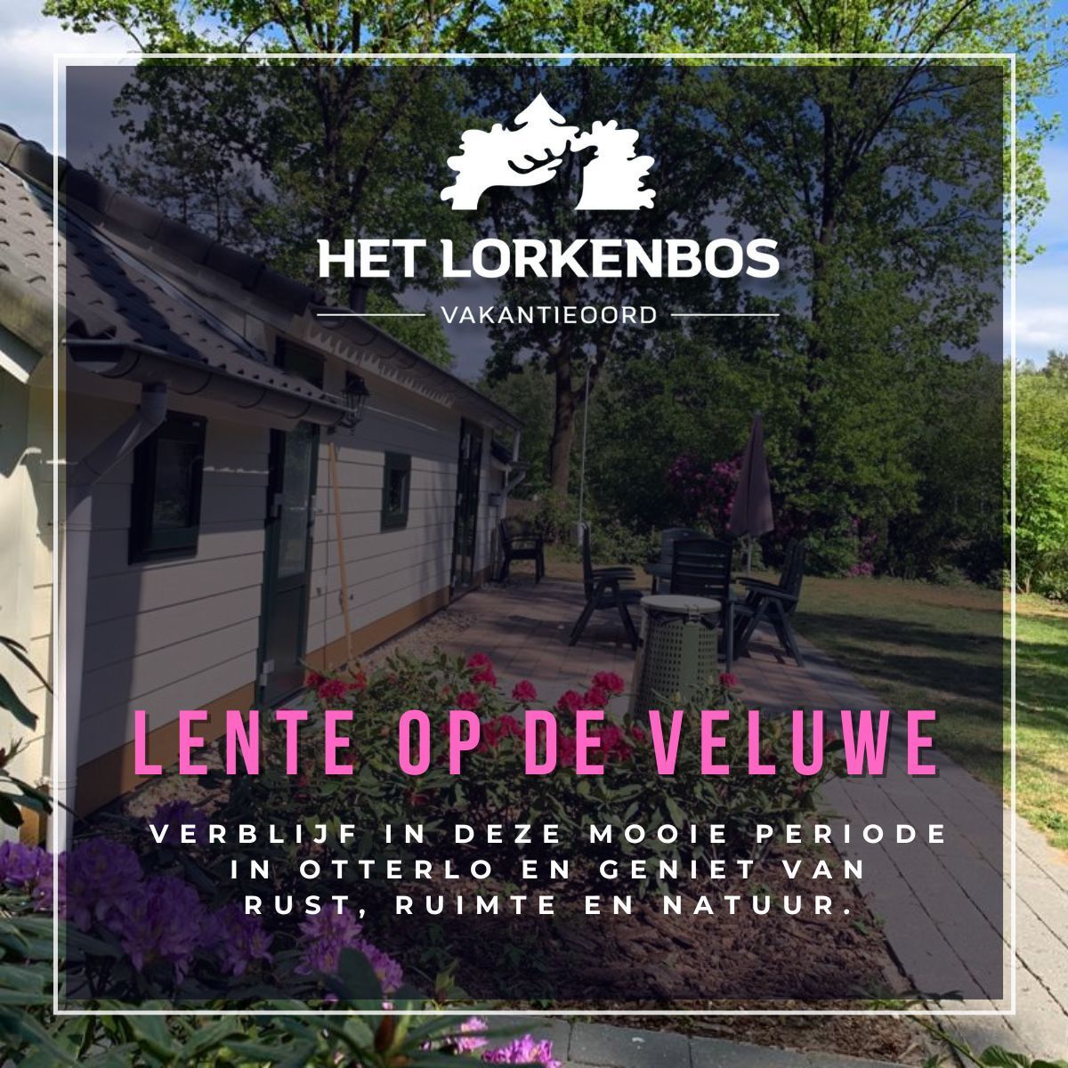 Kom genieten van een heerlijk verblijf in een sfeervol vakantiehuisje op de prachtige Veluwe. Ontdek de betoverende natuur, maak wandelingen door de uitgestrekte bossen en geniet van de rust en sereniteit die deze omgeving. Kijk op lorkenbos.nl.