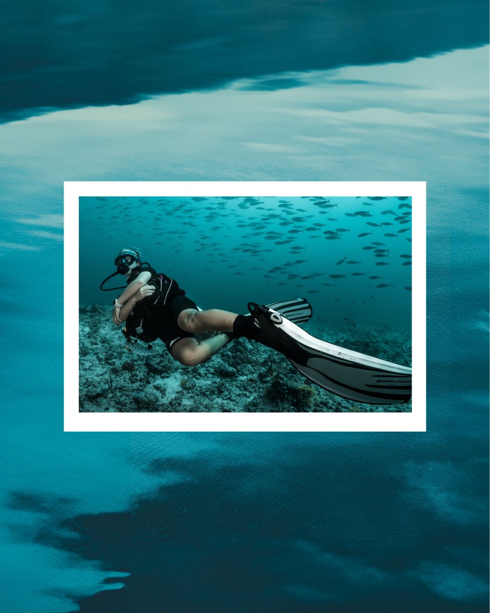 With personalized guidance from our expert divers at dive butler, you'll uncover hidden treasures and witness the beauty of the underwater world like never before. 

#Finolhumaldives #Seasidecollection #maldives   #DiveButlerExperience #IndianOceanExploration