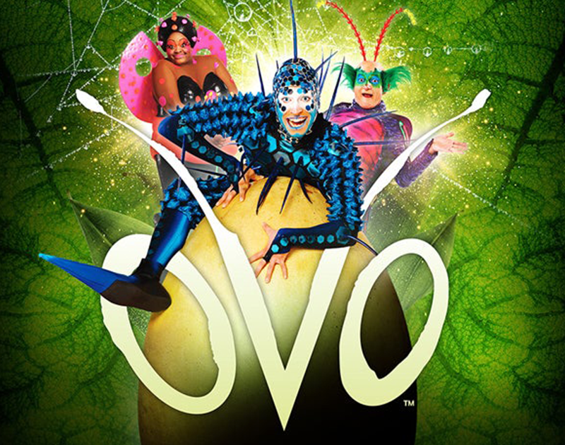 * NEW SHOW * Cirque du Soleil returns to Columbia September 26-29 with its high-energy and high-acrobatic production OVO. Tickets go on sale May 13 at 10 AM here >> bit.ly/OVOcola2024