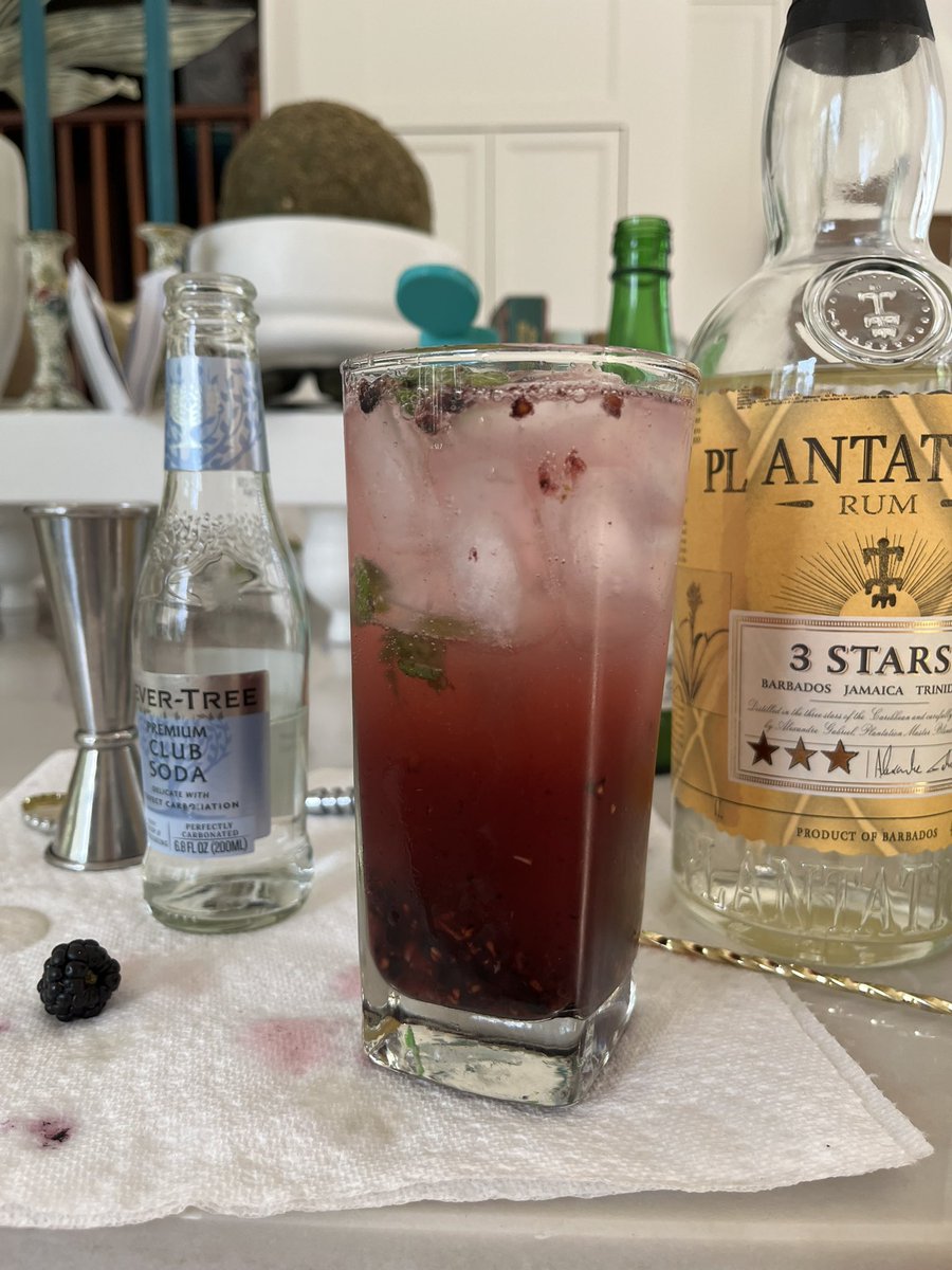 Made a blackberry mojito this weekend. People love to forget I’m a licensed bartender in the state of Utah