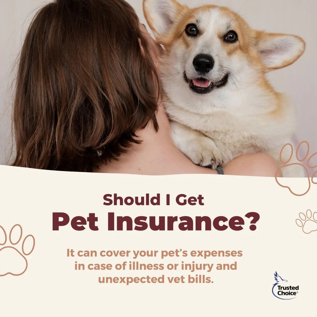Make sure everyone in your family is protected. 

#petinsurance #petparent