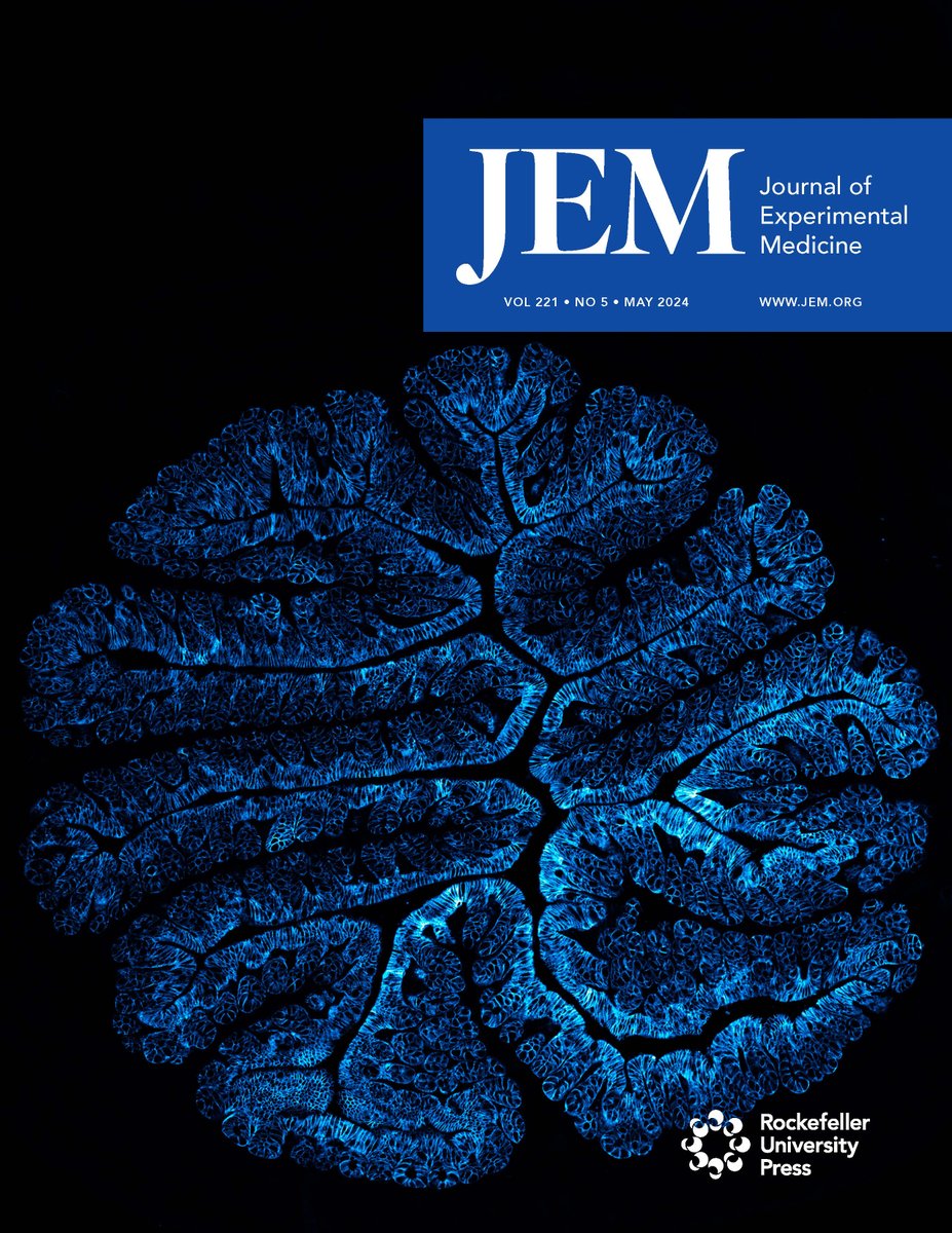 Our May Issue is out! ➡️ hubs.la/Q02vLmwy0 The cover shows a confocal image of mouse proximal colon with epithelial cells shown in blue. From @arif_uzz_aman and colleagues (hubs.la/Q02vLhhv0).