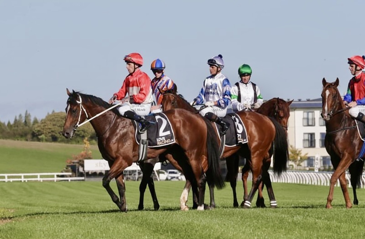 Huge congrats to our NZ partners on SUPER PHOTON capturing the Waikato Equine Veterinary Centre 2 YO S. in thrilling fashion!🏆🏇 'He's a very classy colt, extremely well bred and a beautiful style of horse. That was very exciting.' @marshracing 🥃🐎 @WaikatoStud @KarakaChat