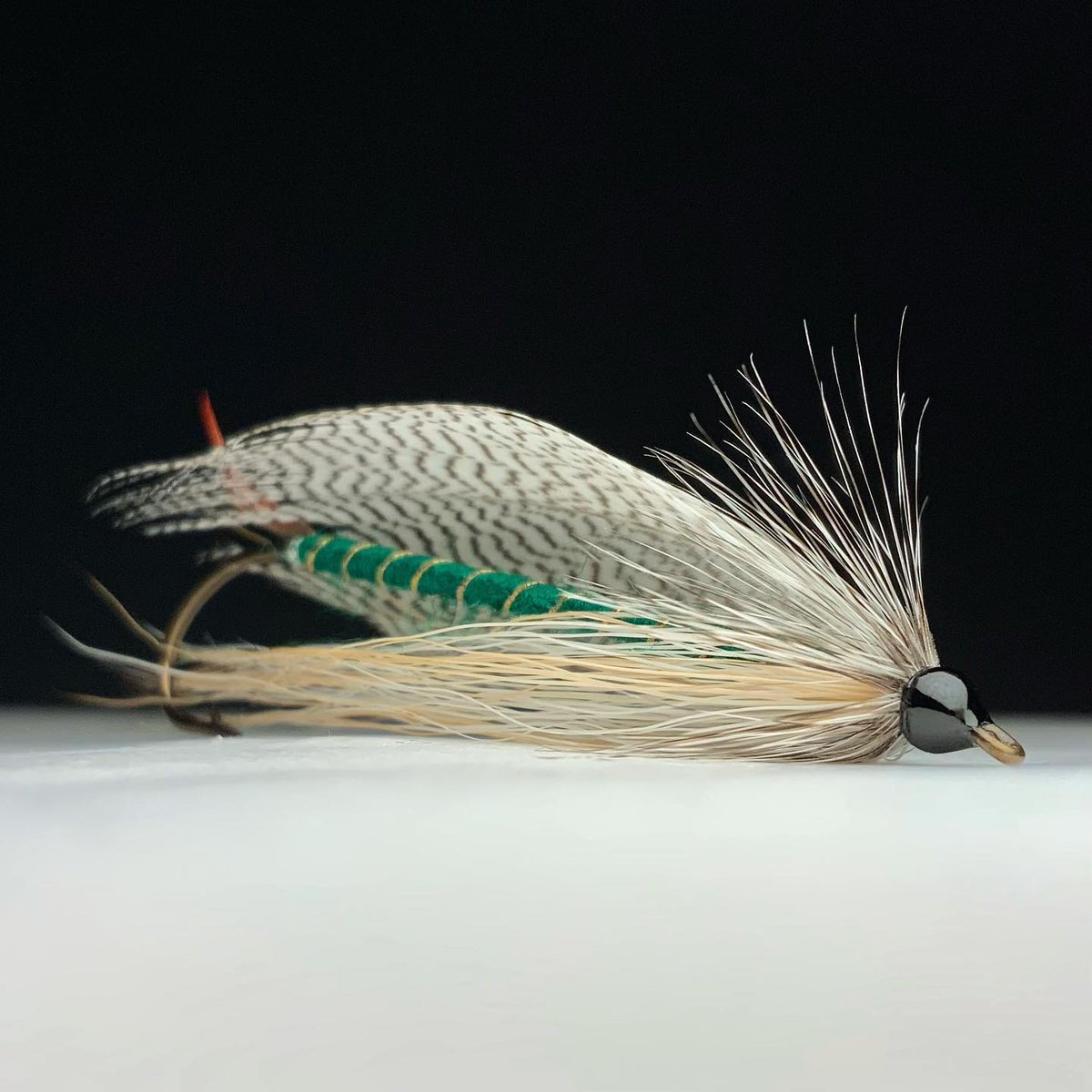 'Flatwing streamer' // tie and image by Fred Klein @grizzlykingfly . . . . #flytying #flytyingjunkie #flyfishing #flyfishingaddict #flyfish #flytyingnation #jstockard #fishing #atthevise #flytyingaddict #flytyingporn