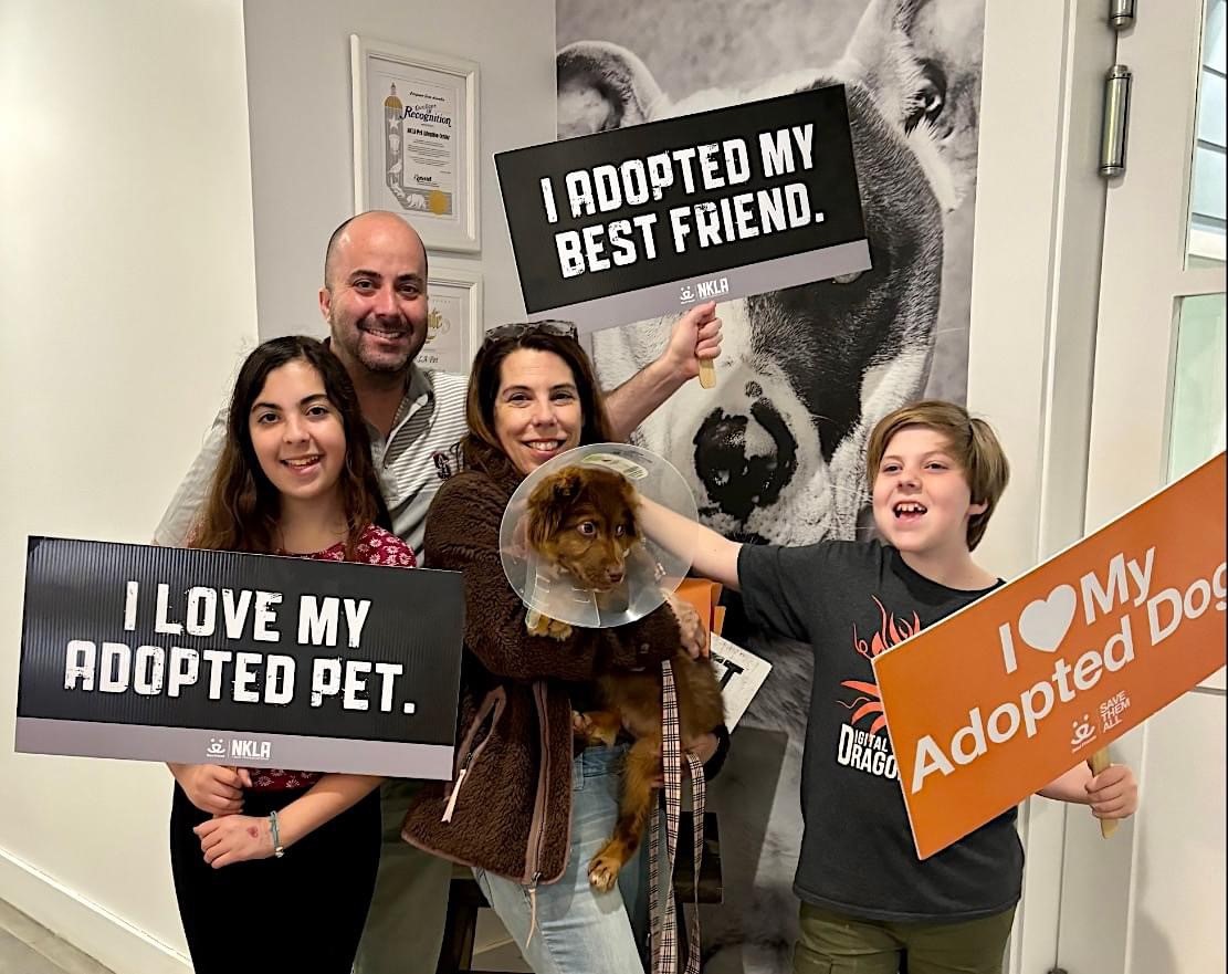 Need a Monday morning pick-me-up? 😴

Check out some recent adoptions from our Pet Adoption Center in #LosAngeles! We love seeing so many happy faces, both human and pet! 🙌 #SaveThemAll #Adopt ^kw