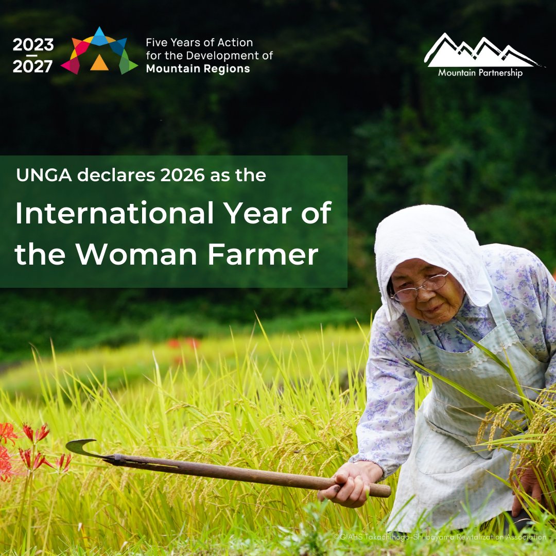 FAO and @UNMountains celebrate the #UNGA's proclamation of the International Year of the Woman Farmer in 2026, recognizing the vital role of women farmers, including those located in mountain regions. 👩🏽‍🌾⛰️ 

Read more ➡️ bit.ly/3Wpg6an

#MountainsMatter