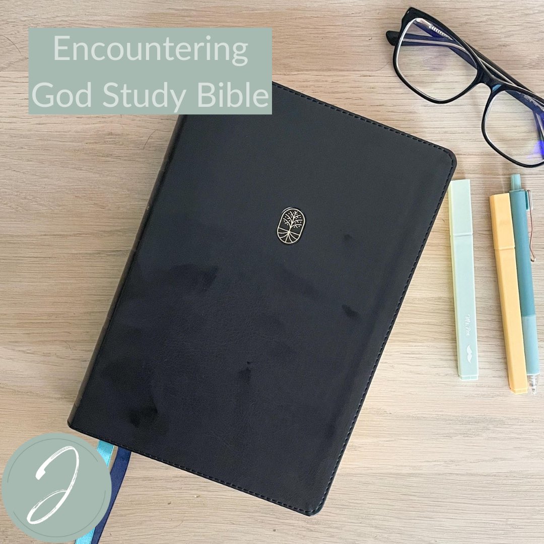 Today on the blog I’m sharing my thoughts on the new Encountering God Study Bible! Read my review and enter to win a copy. jenifermetzger.org/2024/05/encoun…
.
#EncounteringGodStudyBibleMIN #EncounteringGodBible #MomentumInfluencerNetwork