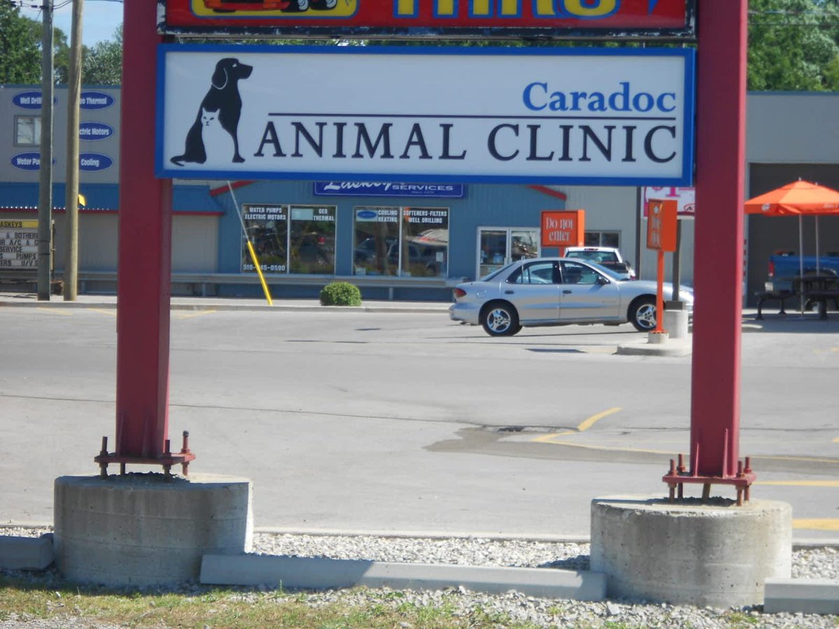 North Middlesex DHS (@northmiddlesexd) on Twitter photo Mina working at her coop placement at Caradoc Animal Clinic. Mina is a Gr. 11 student at NMDHS & enrolled in the Agricultural SHSM Program.
Thank you to <a href="/caradocanimal/">Caradoc Animal</a> for their support.
If you have any questions please contact Darryl Timmermans:
D.timmermans@tvdsb.ca Mina working at her coop placement at Caradoc Animal Clinic. Mina is a Gr. 11 student at NMDHS & enrolled in the Agricultural SHSM Program.
Thank you to <a href="/caradocanimal/">Caradoc Animal</a> for their support.
If you have any questions please contact Darryl Timmermans:
D.timmermans@tvdsb.ca