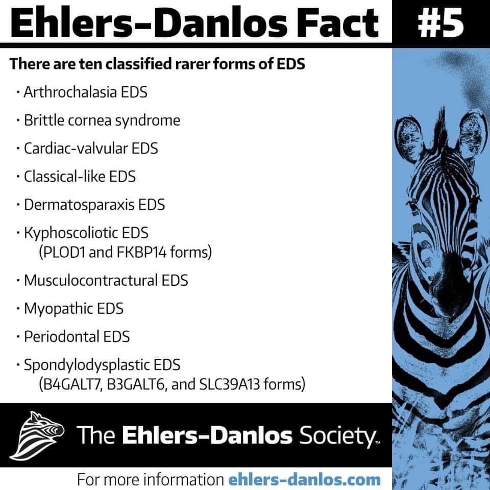 Ehlers-Danlos Awareness Month - Day 5 🦓
#EDS #EDSAwareness #EDSAwarenessMonth #Headache #EhlersDanlosSyndrome #Hypermobility #POTS #MCAS #ChiariMalformation #Dysautonomia 
#IntercranialHypertension #Dislocations #Subluxation #ConnectiveTissue #JointDamage #InvisibleDisability