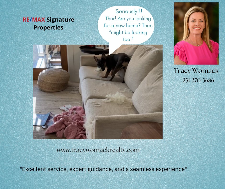 #realtor #crs #ahwd #c2ex #bccs #rsps #cpres #sold #realestate #baldwincounty  #spanishfortalabama #daphnealabama #orangebeach #foley #gulfshores #frenchie #pets #fairhopealabama #mobilealabama #listingagent #buyersagent #abr #closewithtracywomack #remaxsignatureproperties