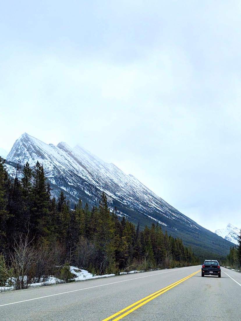 📌📸 Jasper National Park, Alberta, Canada 🇨🇦 

Jasper’s peaks, where nature’s artistry is on grand display 🏔️✨ 

#JasperNationalPark #CanadianRockies #NaturePhotography #ExploreAlberta #MountainMajesty