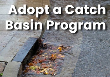 Adopt a catch basin and keep our waterways clean. #HollywoodFL ow.ly/QmJo30sC2kQ