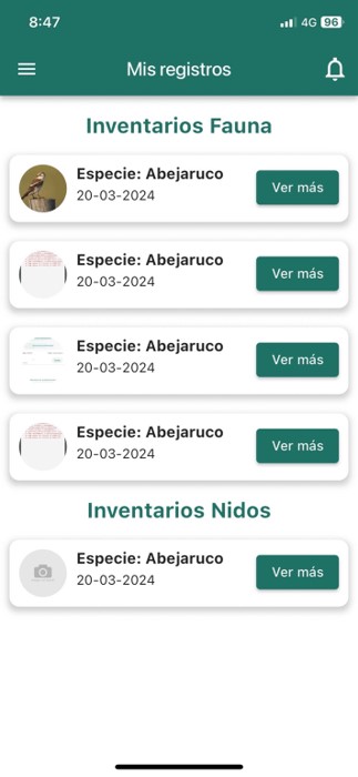 (1/2 🧵) ¡Descubre la nueva App de ciencia ciudadana para Soria! 🌿📱 Con BRERA, puedes explorar y contribuir al inventario de biodiversidad urbana de nuestra ciudad.
#RenaturalizaciónUrbana #ProyectosPRTR #PlanDeRecuperación @FBiodiversidad