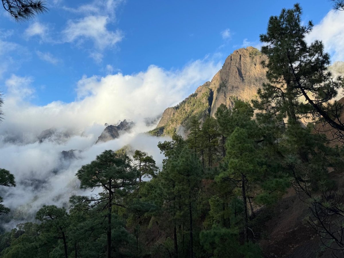 Impresionante encuentro entre nubes, laderas y pinos en el Parque Nacional de Caldera de Taburiente ☁️🌋🌲 ¡Qué buena vista para empezar la semana! 😍