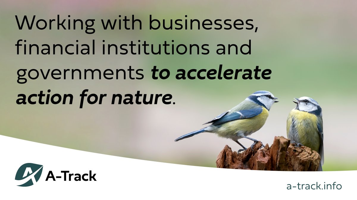 📣 Just launched! WBCSD is a partner of A-Track - a new four-year, €11 million project that will accelerate #NatureAction by businesses, financial institutions & governments. 🌳 👉Take the survey to shape the project's outputs: forms.office.com/pages/response…