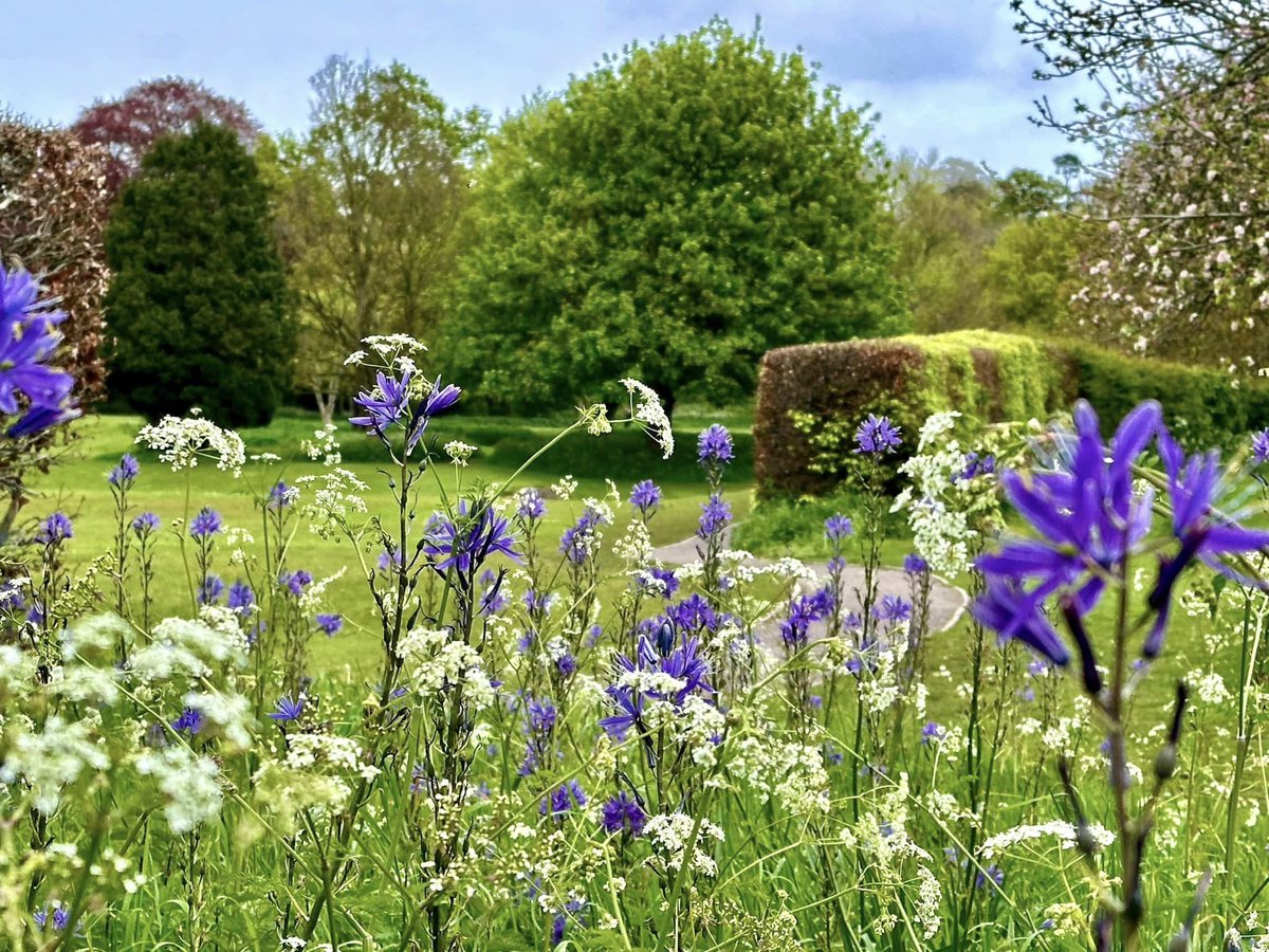Spring is well and truly blooming in this lovely photo from abbey member Jayne.

Support the abbey by becoming a Glastonbury Abbey Member, and get year-round access plus plenty of other benefits in return. Learn more: glastab.be/member

#MemberMonday