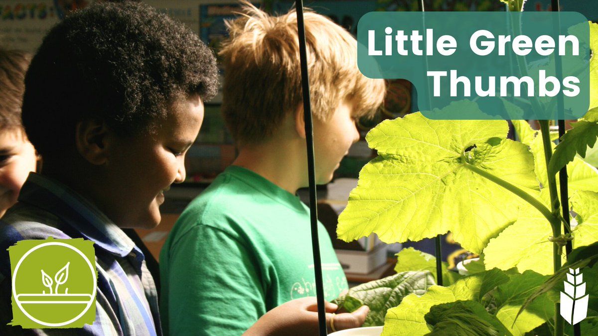 📢Gr 3-6 teachers, @littlegrnthumbs deadline is this FRIDAY! 🌿Turn your classroom into a living lab for hands-on, inquiry-based learning. 💪Empower students to grow & enjoy healthy food while learning about nutrition & community. 📅Apply by May 10 🔗bit.ly/3dpC58L