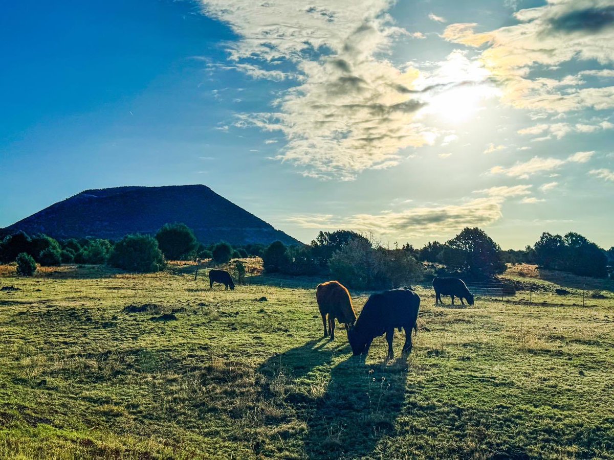 There’s no sight quite like sunrise over Capulin Volcano! 🌋 Take in the natural beauty as you #ExploreRaton 🗺️

#NewMexicoTrue #NewMexico #RatonNM #RatonNewMexico #RatonYourPass #YourPass #RatonPass