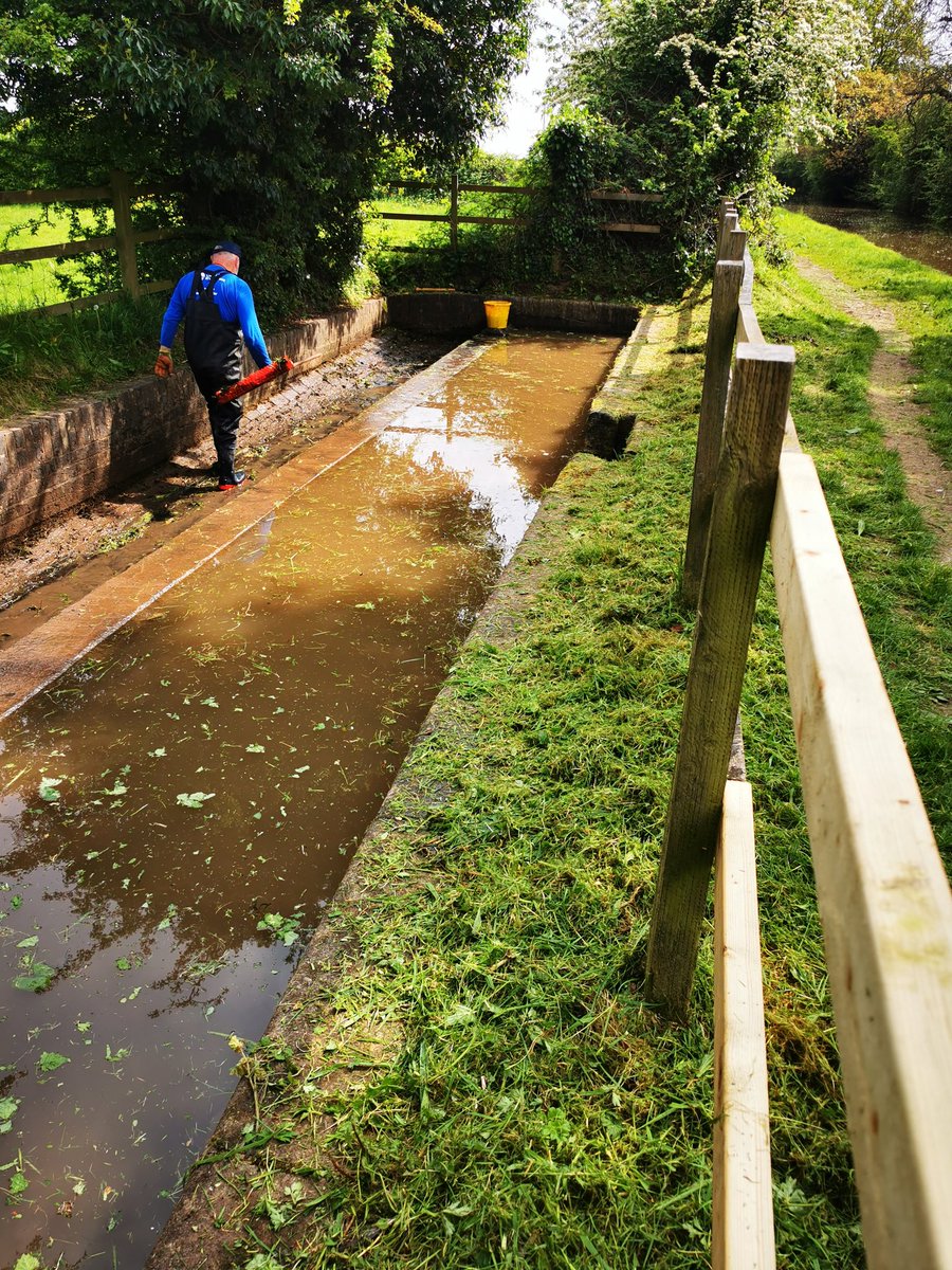 You can't beat clearing out a weir on a bank holiday #volunteerbywater #TowpathTaskForce #CoventryCanal