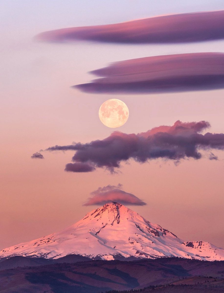 MOON LOVER (@m1onlover) on Twitter photo 