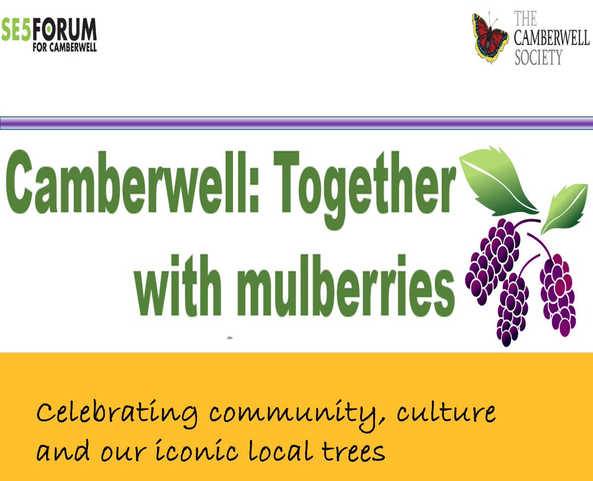 🌳Free Mulberry Tree Drawing Workshop Sun 19 May 2.30 @ Lucas Gardens Our + @CamberwellSoc free tree drawing workshop focuses on the wonderful Mulberry tree, led by illustrator David More. Part of @UrbanTreeFest All ages + abilities, materials provided: bit.ly/3wjTDAV