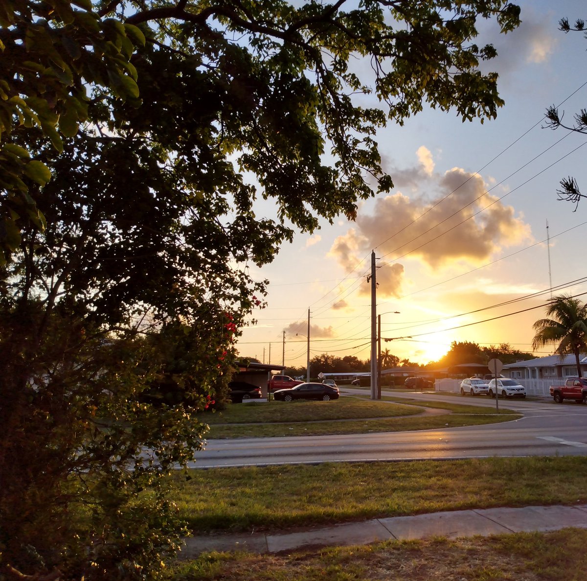@JorgeG179 #Miami #Sky #Sunset  #Palmtrees #photo #photodaily #phototoday #photooftheday #photograph #photographer #photography #photooftheweek #photos #photosession #photostudio #skyphotography #sunrays #sunflares #lensflare #SunsetEvening