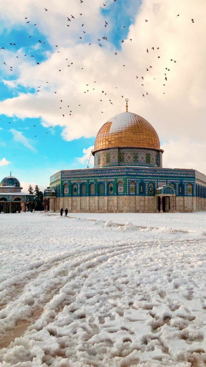 Al-Aqsa Al-Sharif 🤍