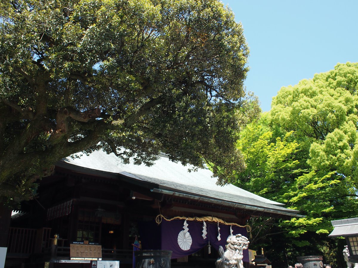 GWもいよいよ終わりですね

先日
宇都宮へ行った際に
宇都宮二荒山神社へ
お参りに行ってきました🙏
街中に立つ大きな鳥居は
宇都宮の人々を守る威厳が感じられ
素晴らしかったです😊