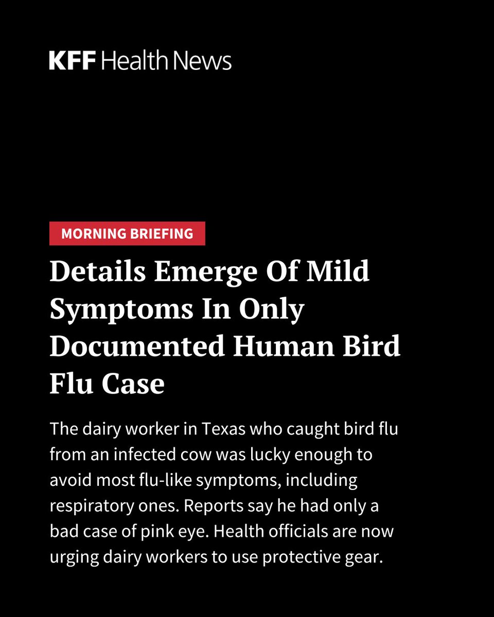 The Texas dairy worker who caught bird flu from a sick cow in late March had none of the symptoms typically associated with influenza. The only indication that he had been infected was a striking case of pinkeye. Read more in today's #MorningBriefing: kffhealthnews.org/morning-briefi…