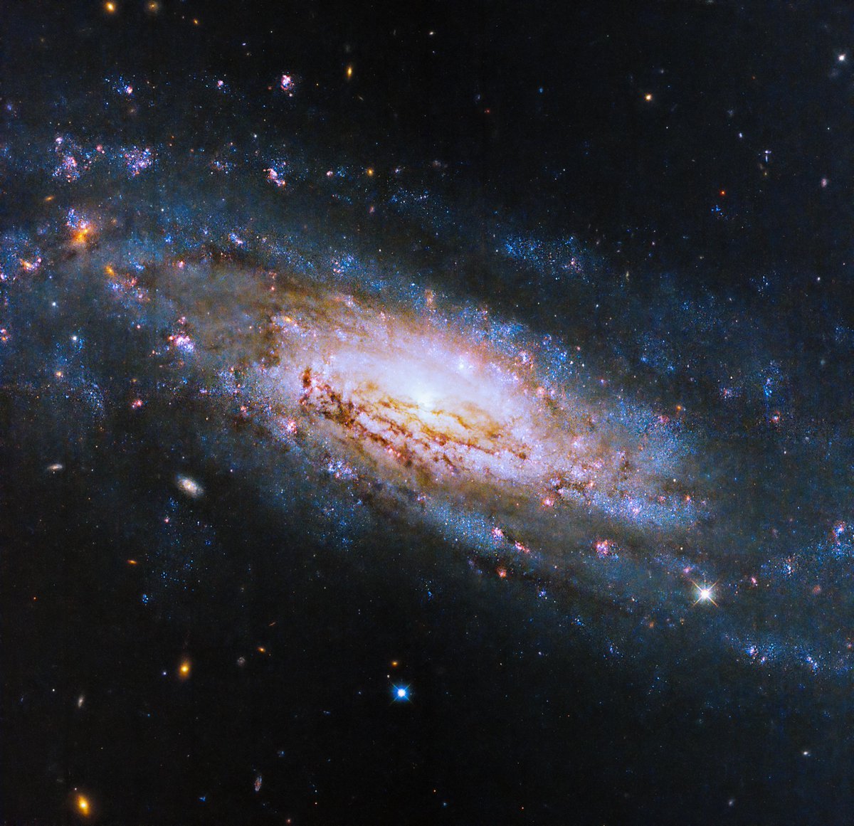 Let's kick off #BlackHoleWeek the best way we know how – with a new Hubble image!

This is the galaxy NGC 4951, home to a voracious black hole.

Located ~50 million light-years away, it has an active galactic nucleus powered by a supermassive black hole: go.nasa.gov/44v3vUW