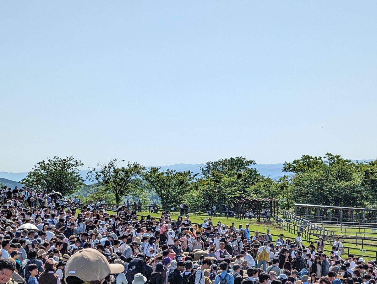 T3827K's tweet photo. ゴールデンウィークのマザー牧場
ヒツジよりも人の群れのほうが多い
#マザー牧場
#ゴールデンウィーク https://t.co/2JrRyh8qT4