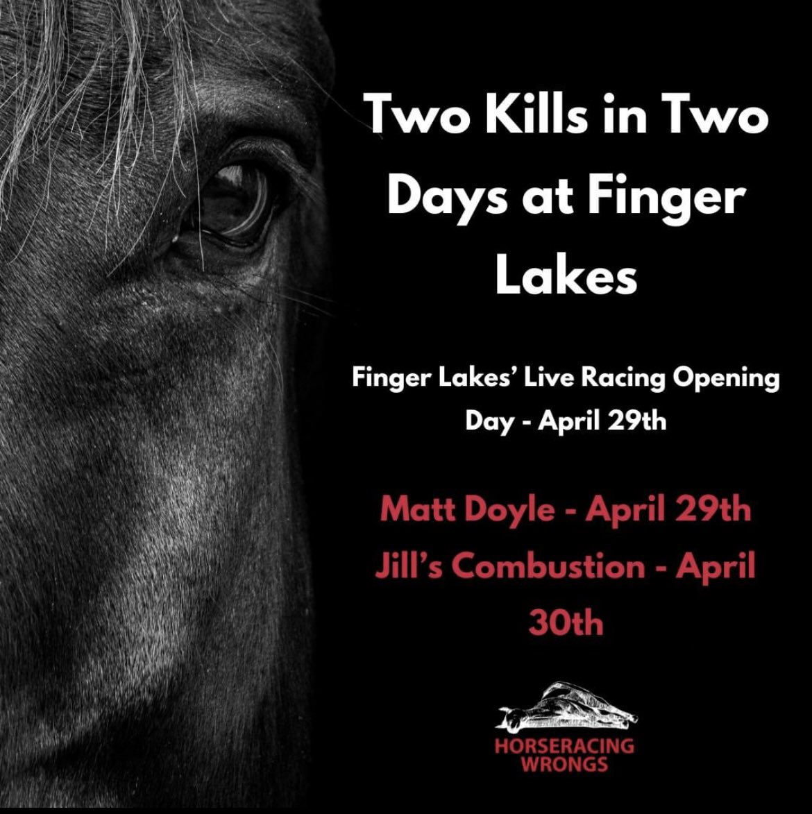 Though Finger Lakes' live racing Opening Day was Monday, April 29th, 2 horses have already been confirmed dead. 💔 🐴Jill’s Combustion was just 3 years old being prepped for his debut. 🐴Matt Doyle was 5 & had been raced 18 times. #HorseracingKillsHorses horseracingwrongs.org/2024/05/01/3-y…