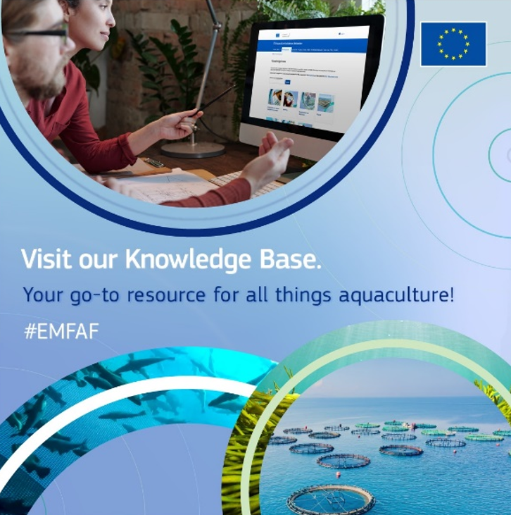 🌊 Explore the highlights of the Aquaculture Assistance Mechanism website. Visit our Knowledge Base for a wealth of information on ongoing projects, EU legislation, guidelines, best practices, learning materials, and more ➡️ europa.eu/!9bymcV #EMFAF #BlueFarmingEU