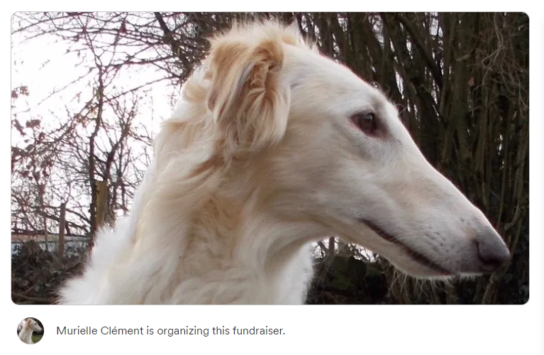 Please #Support Today to my #GoFundme Campaign.

#gofundme #gofundmedonations #gofundmecampaign #gofundmeplease 
@GoFundme #payitforward #donate <a href="/broughnation/">Bruce Kimbrough Bey</a> #charity #fundraising
<a href="/ml_clment/">ML Clément</a>

Help #Fund Today to my #Gofundme 

PLZ #RT!  Click Below

gofund.me/02aa432d