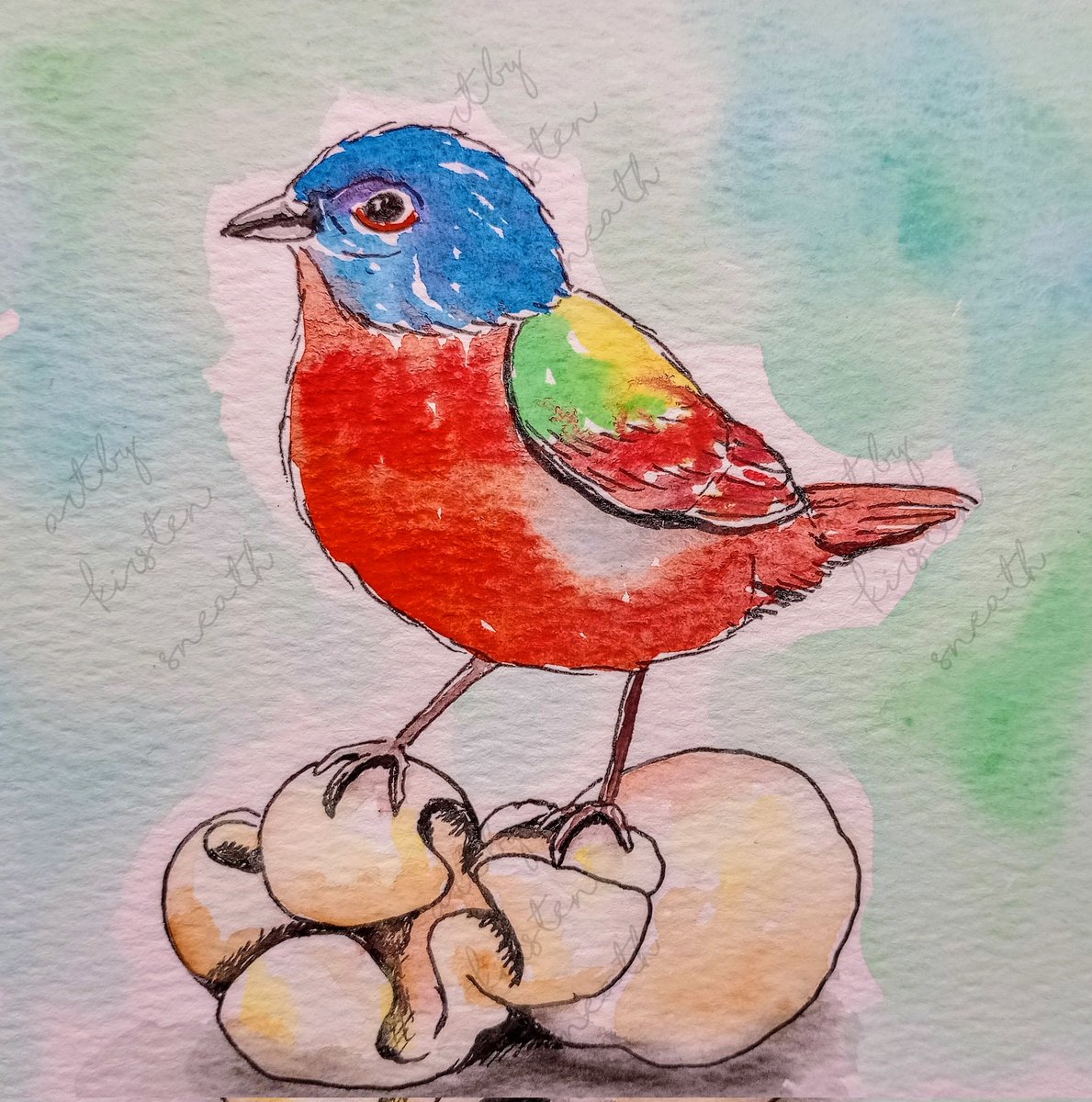 Happy #AnimalAlphabets Monday! This week's word is Popcorn 🍿 so here is my Painted Bunting atop a rather plump piece! Hope you have a great week! @AnimalAlphabets #paintedbunting #popcorn #weeklyartchallenge #birdpainting