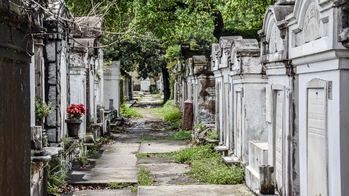Finnister (@dynapod) on Twitter photo Wedding itinerary in New Orleans is as follows:
Tuesday night checkin <a href="/hotelmonteleone/">Hotel Monteleone</a>
Wednesday morning brunch at two sisters.
Wednesday night get married 💍 in a cemetery followed by dinner at Cornet
Thursday lunch with a Marine buddy
Friday morning check out
#NOLA Wedding itinerary in New Orleans is as follows:
Tuesday night checkin <a href="/hotelmonteleone/">Hotel Monteleone</a>
Wednesday morning brunch at two sisters.
Wednesday night get married 💍 in a cemetery followed by dinner at Cornet
Thursday lunch with a Marine buddy
Friday morning check out
#NOLA