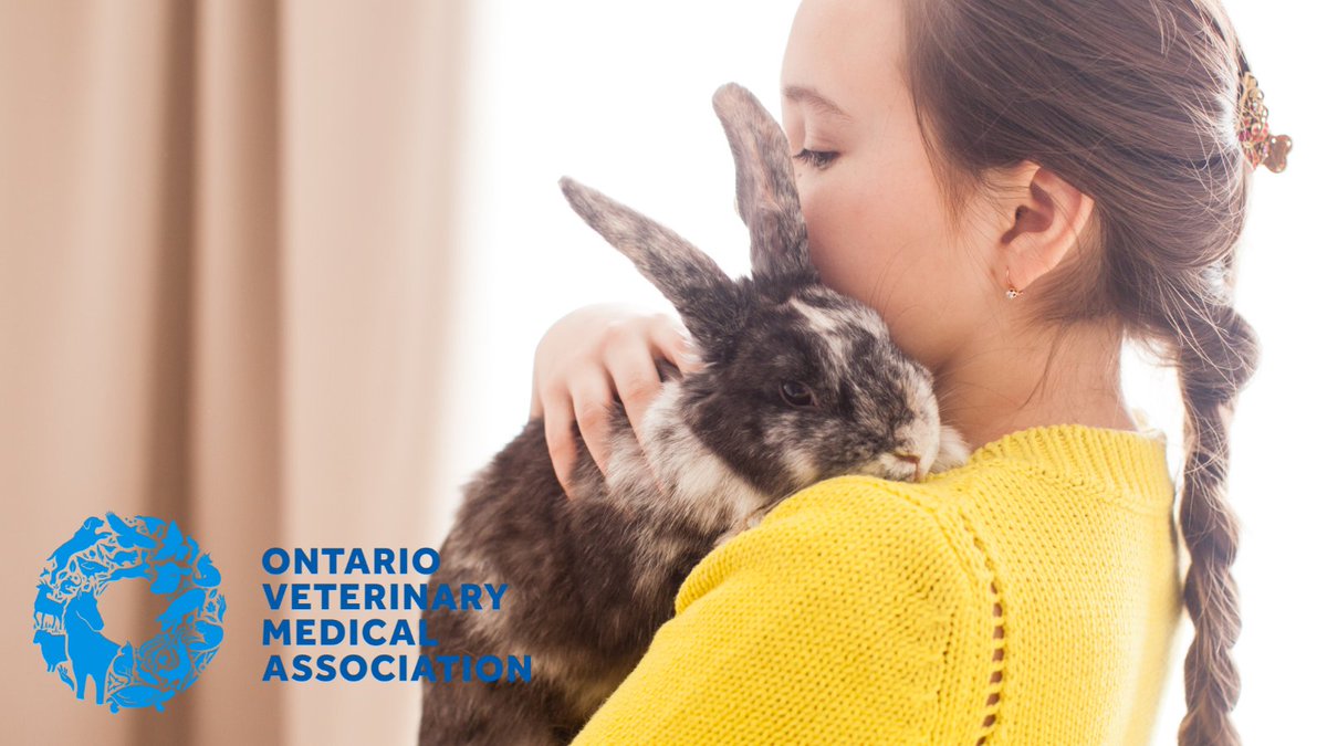 This #NationalPetWeek, we're celebrating the unconditional love, happiness and companionship that animals bring to our lives. In honour of the observance, book an appointment with your veterinarian to help keep your pet healthy for many more National Pet Weeks to come.