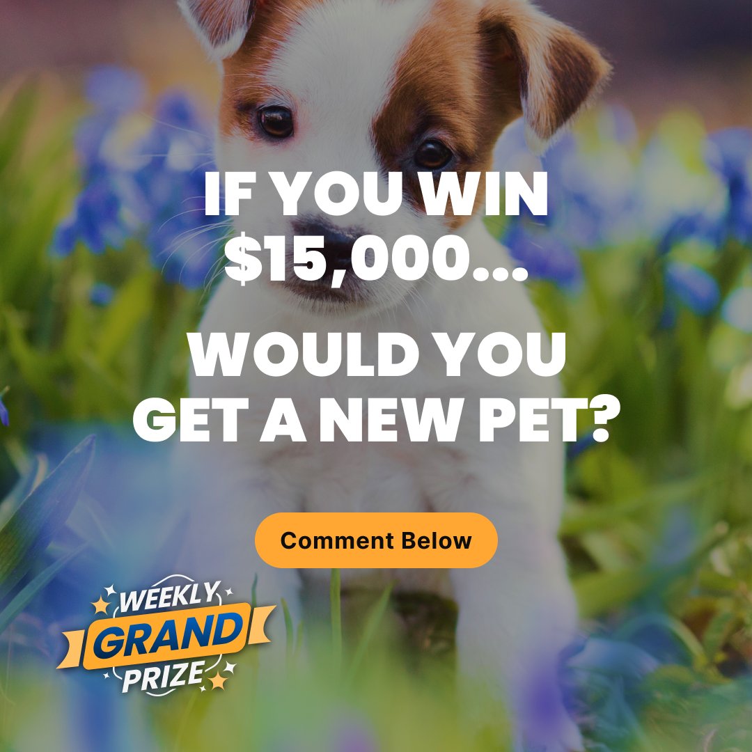 Pets can be expensive, but with an extra $15,000 you could get a new pet (or two!) and still have money to spare! Let us know what your dream pet is in the comments, and claim today’s entries to win here: bit.ly/4b0emZw