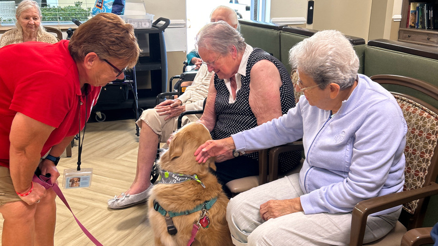 Therapy dog visits always make us smile! 🐶 😄 🦮

#pettherapy #lotsoflove #seniorliving #melbournefl #assistedlivingfl #spacecoast #memorycare #independentliving

suntreeseniorliving.com

📽️🎬WATCH LIVE📽️🎬 ⭐24/7⭐
ChateauMadeleine.Live
Assisted Living License #: AL13351