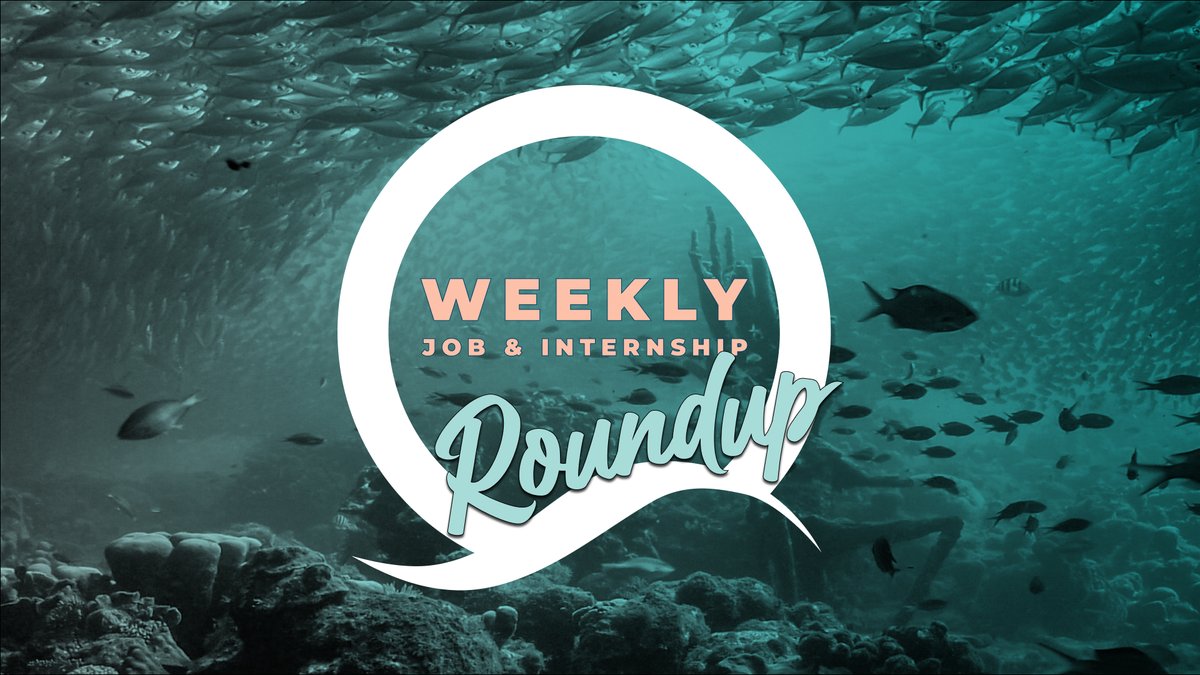 Check out this week's #NowHiring job & internship Weekly Roundup here: bit.ly/4dvKo12