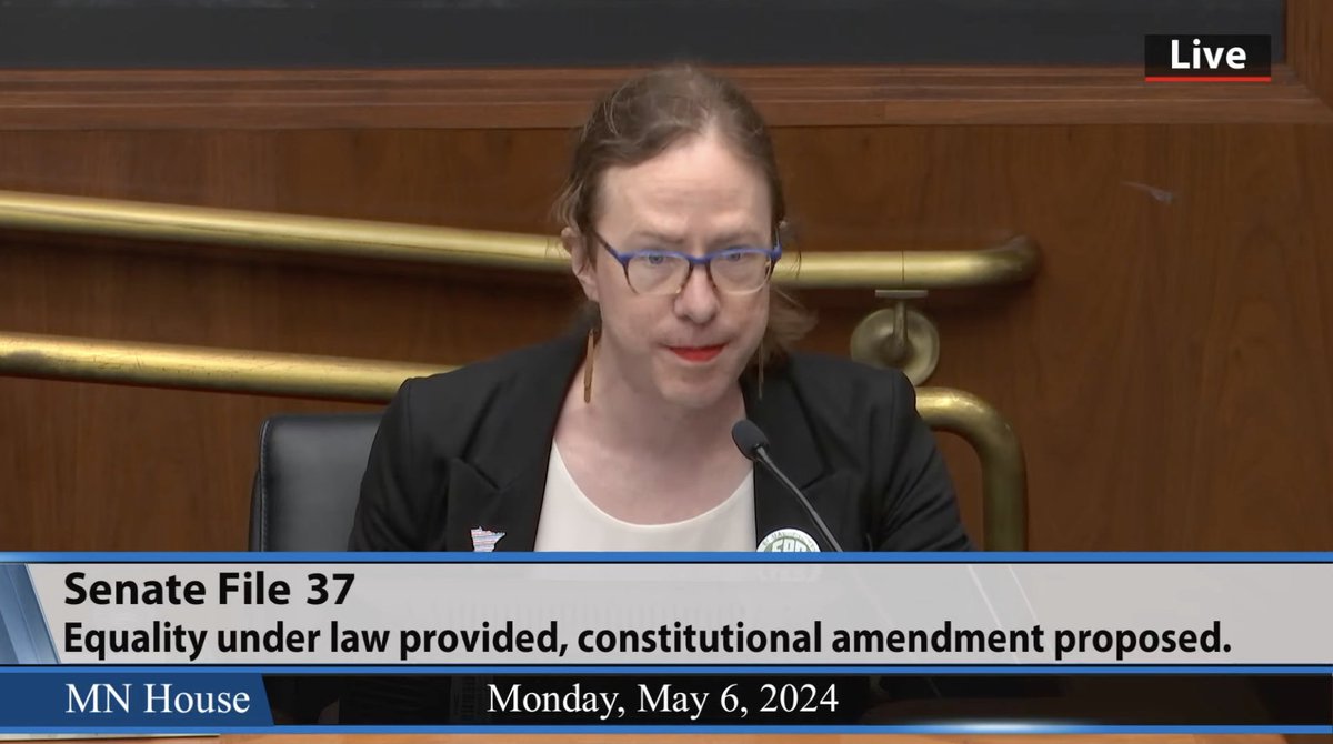 EQUALITY IS A MINNESOTA VALUE, says @outfrontmn's director, @rohnkat, testifying in favor of an inclusive ERA at today's Minnesota House Rules Committee hearing on the Equal Rights Amendment. #Yes4ERA 💚
